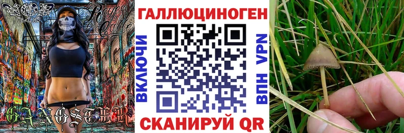 KRAKEN онион  Белоусово  Галлюциногенные грибы Cubensis 